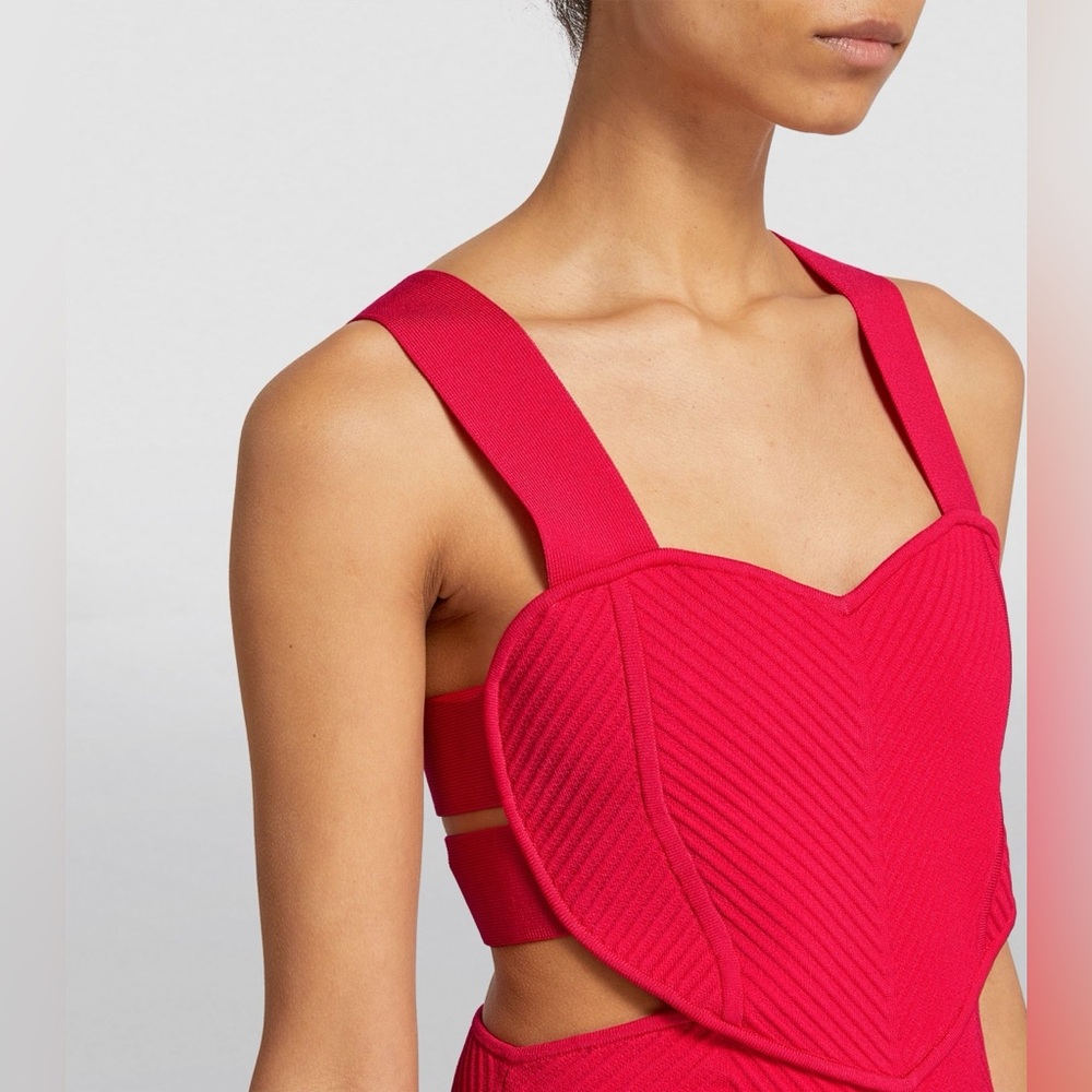 Herve Leger Cut Out Ottoman Mini Dress - Picture 3 of 4